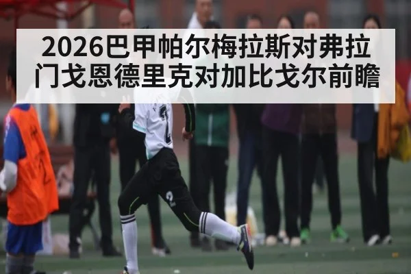 2026巴甲帕尔梅拉斯对弗拉门戈恩德里克对加比戈尔前瞻